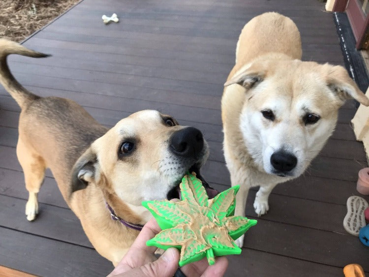 Hemp Leaf Nylon Dog Toy