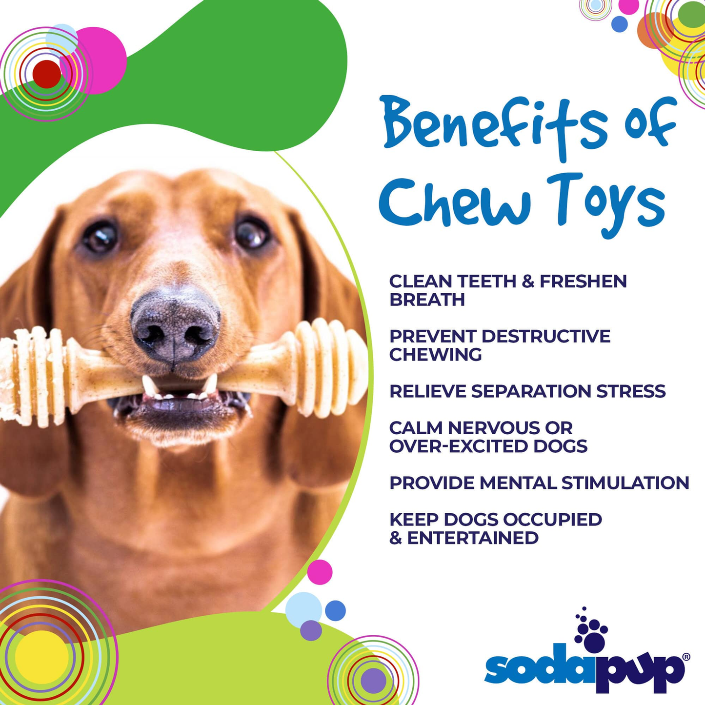 Soda Pup Honey Bone  Nylon Dog Chew Toy for Aggressive Chewers