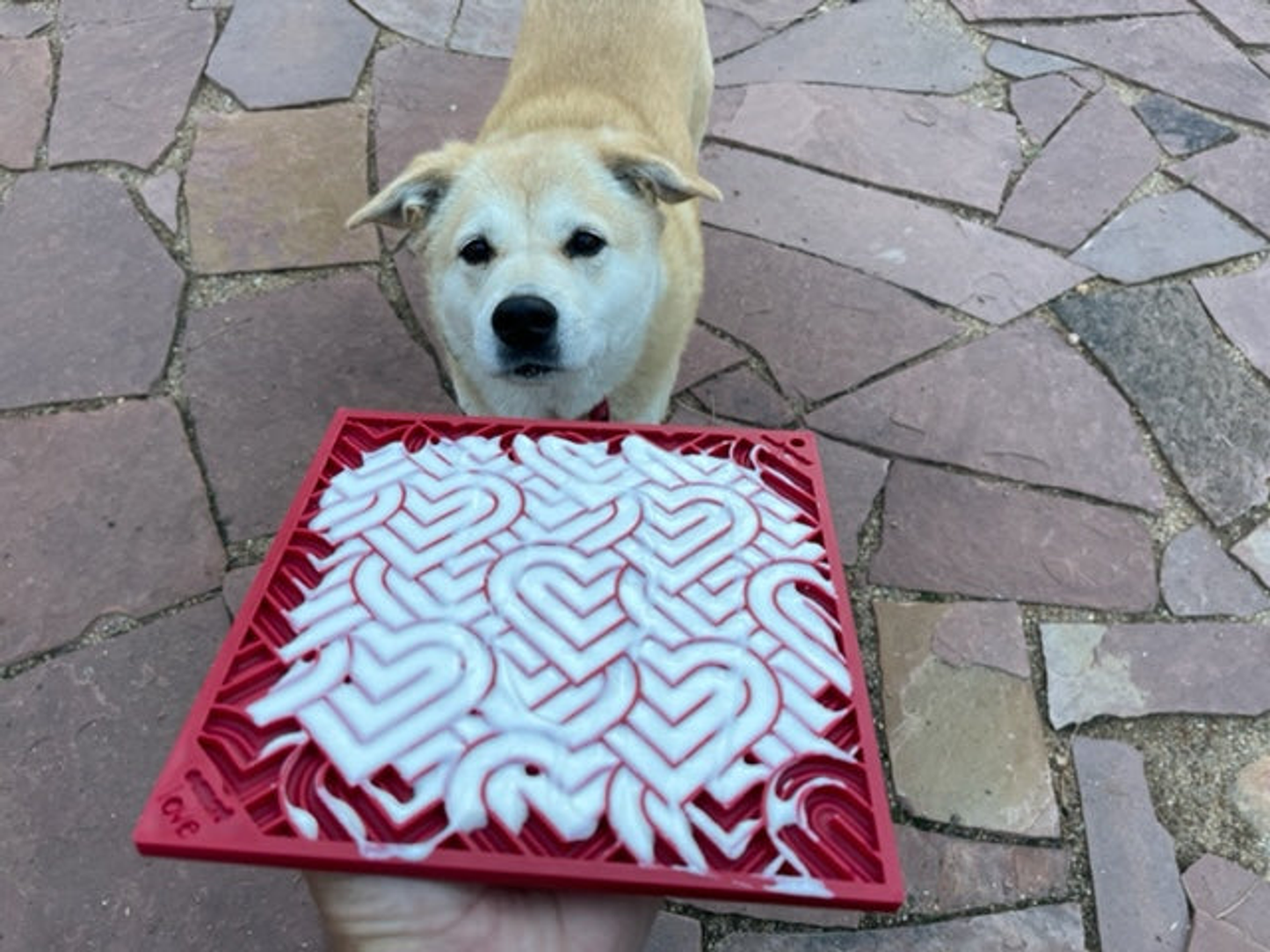 Soda Pup Heart Rubber Lick Mat - 8"x8"/5"x7"