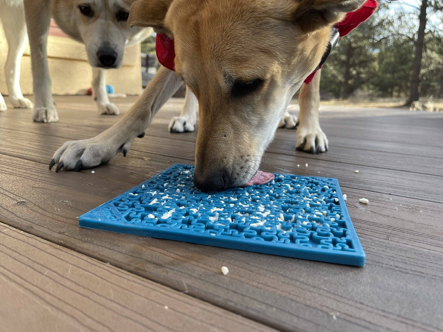 SodaPup Blue Jigsaw Enrichment Lick Mat  - 8" x 8"